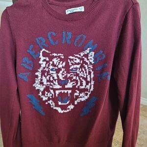 Abercrombie & Fitch Maroon Sweater with Blue Graphic